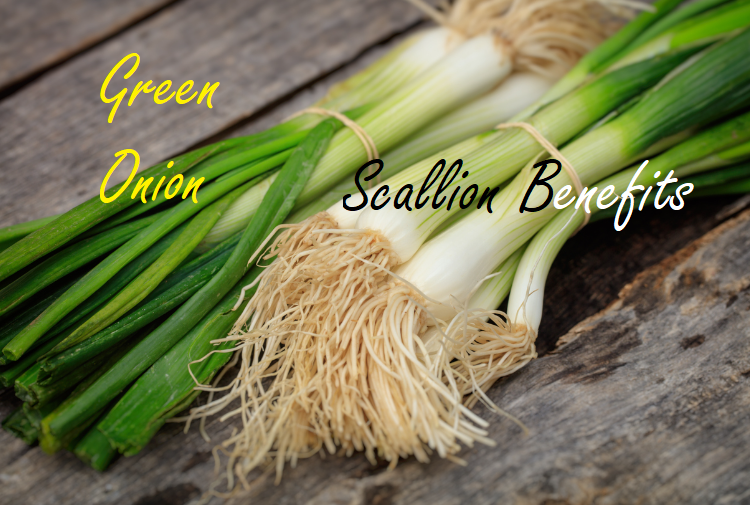 Scallion – Green Onion